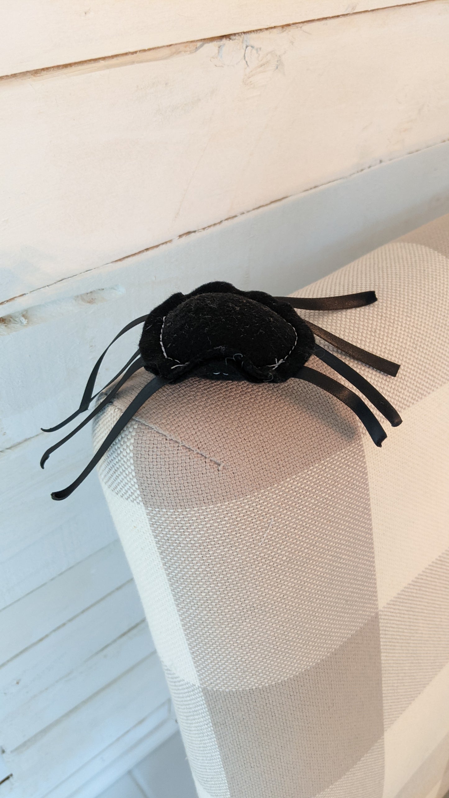 Scawy Spider