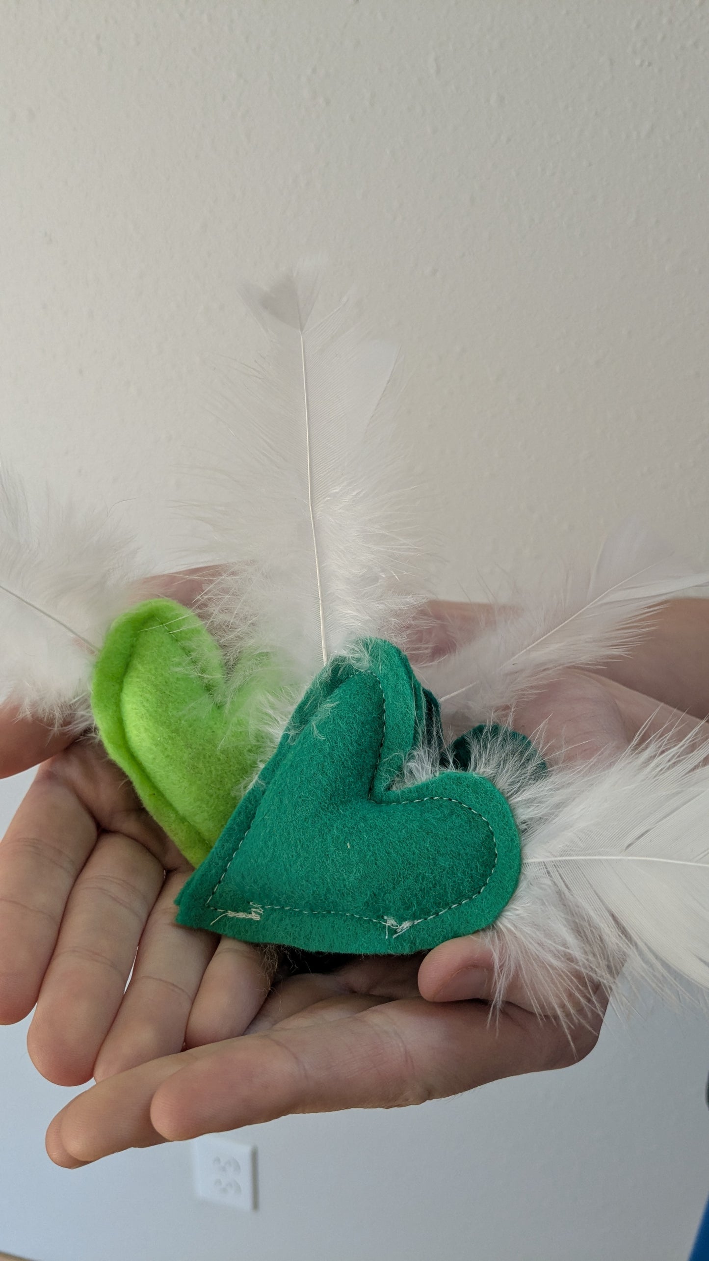 Happy Cat Heart