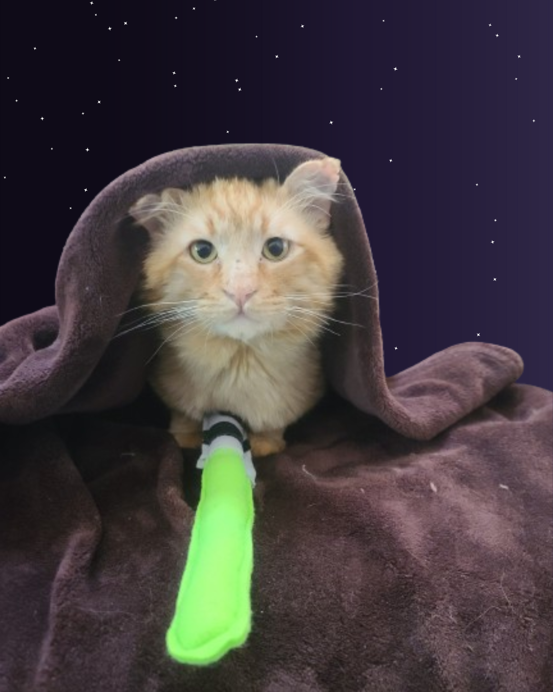 *NEW* May the Fourth Kicker