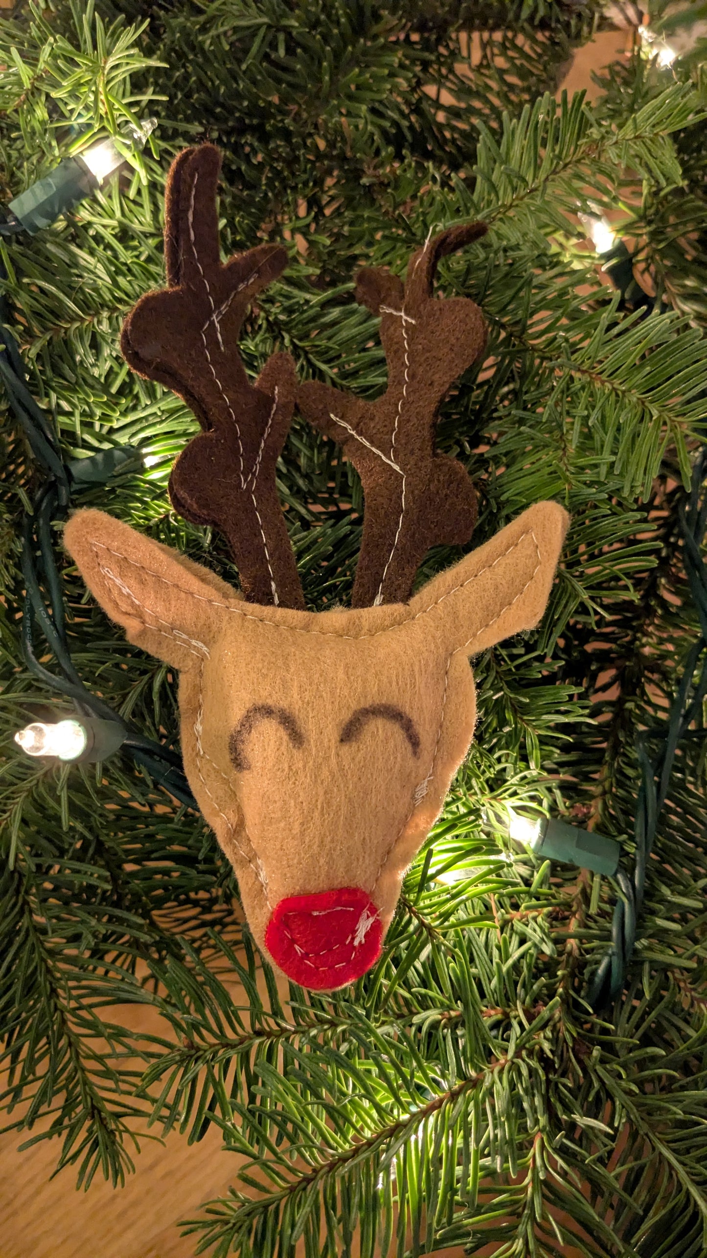 Reindeer