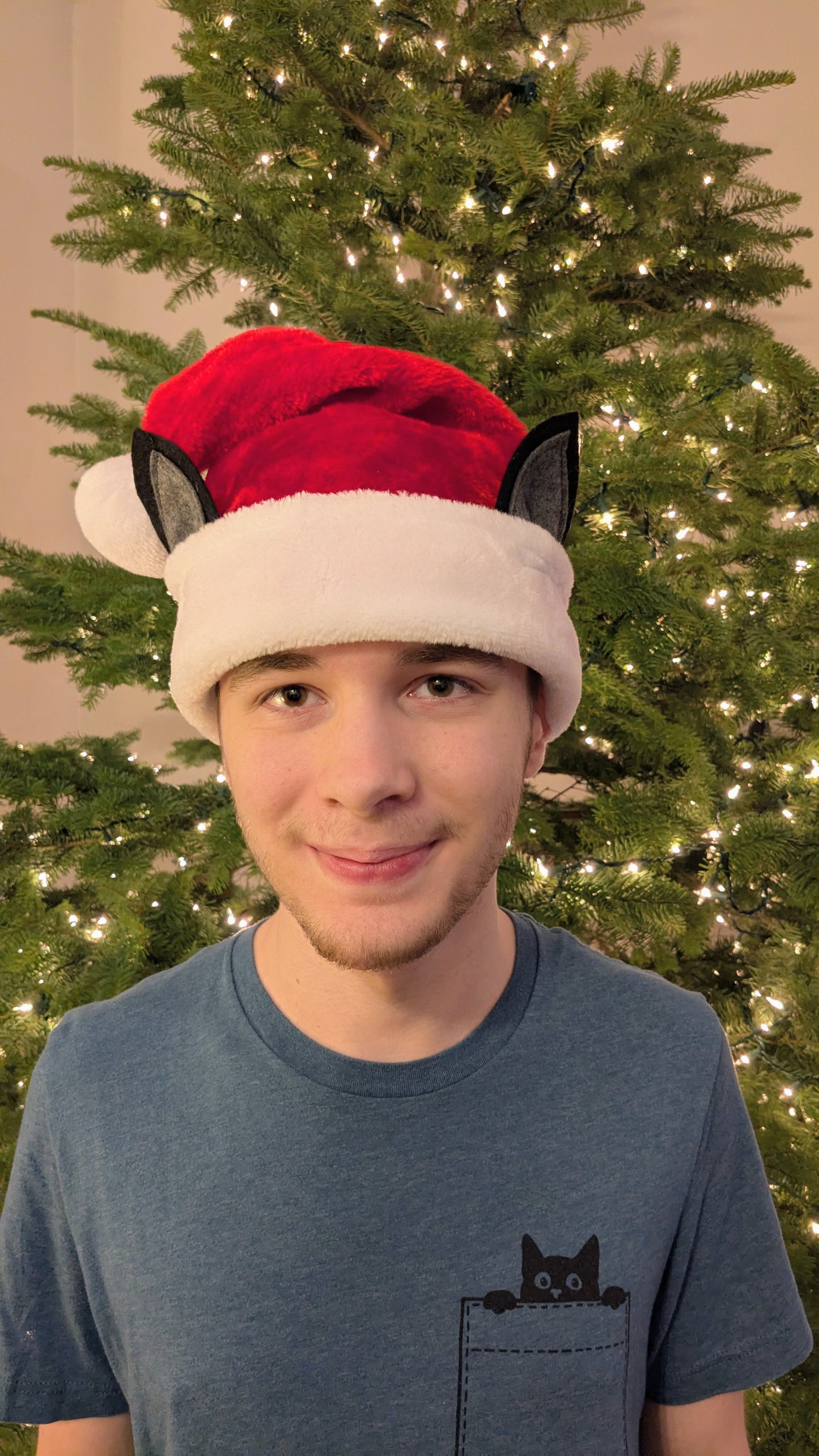 Cat Ear Santa Hat