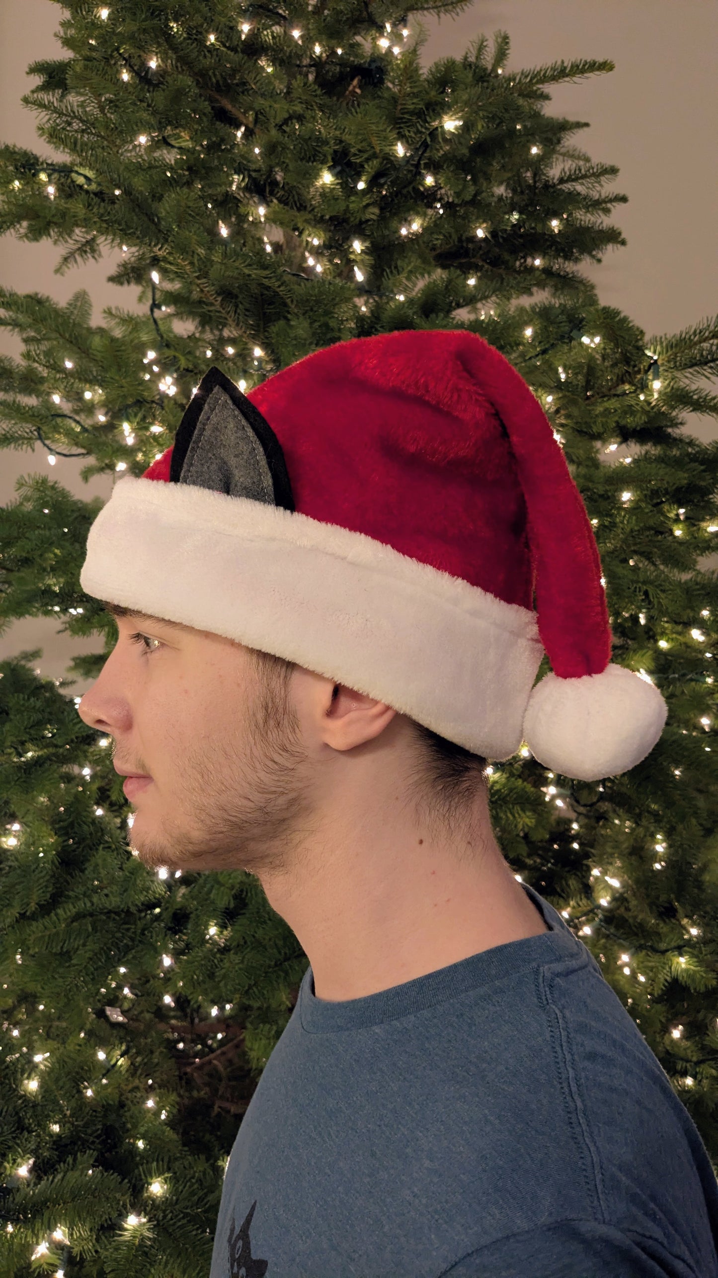 Cat Ear Santa Hat